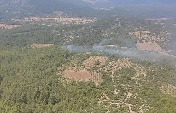 Muğla'da orman yangını kontrol altına alındı