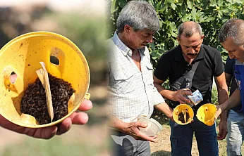 Muğla'da üreticinin emeğine çevre dostu koruma