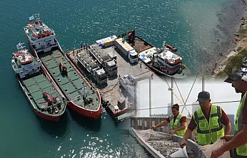 Muğla'da üretilen balık yavruları yurt dışına satılıyor