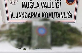 Muğla'da uyuşturucu operasyonlarında yakalanan 5 zanlı tutuklandı