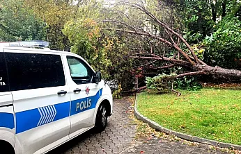 Muğla'da yağış nedeniyle çam ağacı otomobilin üzerine devrildi