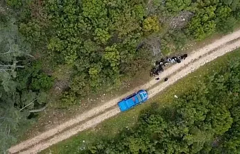 Muğla dahil 33 ilde göçmen kaçakçılığı operasyonlarında 51 şüpheli yakalandı