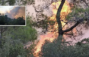 Muğla'daki orman yangınına müdahale devam ediyor
