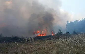 Muğla'daki orman yangınında 1 kişi gözaltına alındı