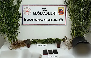 Muğla Jandarmasından uyuşturucu tacirlerine operasyon: 33 tutuklama