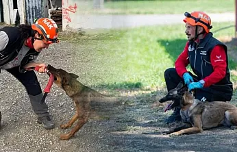 Muğla'nın arama kurtarma köpekleri Tayga ve Foxy görev yeterlilik sınavını geçti