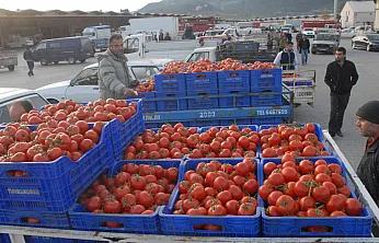 Muğla'nın Haziran ayı ihracatı 125,9 milyon dolar