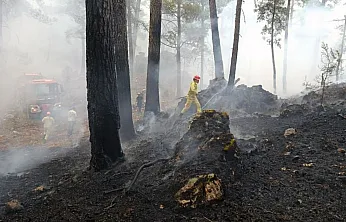 Muğla Valiliği'nden 'Yangın' uyarısı