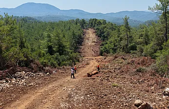 Muğla ve Aydın'da Orman yangın şerit yolu uzunluğu 2 bin kilometreye çıkıyor