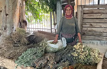 Nif'in dağlarından Fethiye Salı Pazarı'na: Doğanın şifasını tezgahına taşıyor