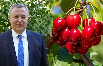Nif Kirazı'na Coğrafi İşaret Müjdesi