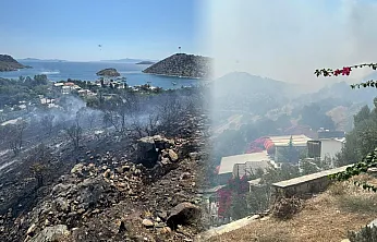 Rüzgar alevleri büyüttü, Bodrum'daki yangın kontrol altına alındı