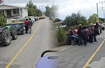 Seydikemer Arsa'da üzüm üreticisi çaresiz
