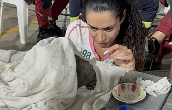 Seydikemer'de alevlerin arasından kurtarılan kaplumbağa için zamanla yarışıldı