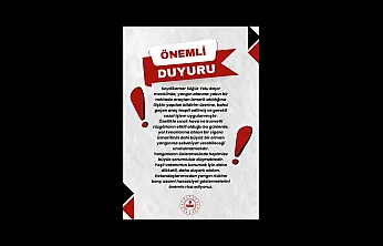 Seydikemer'de araçtan sigara izmariti atan sürücüye ceza
