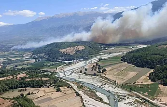 Seydikemer'de başlayan yangın Antalya Kaş sınırlarına sıçradı