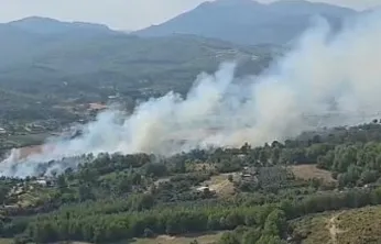Seydikemer'de Orman Yangını: Havadan ve Karadan Müdahale Ediliyor