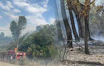 Seydikemer'de orman yangını kontrol altına alındı