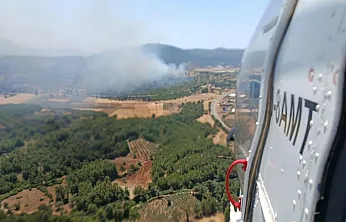 Seydikemer'de orman yangını