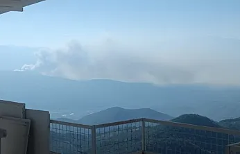 Seydikemer'de orman yangını