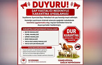 Seydikemer'de şap alarmı: 6 mahalle karantinaya alındı