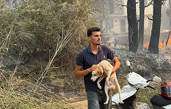 Seydikemer'de tahliyeler sürüyor: Dereköy'de evler ve hayvanlar güvenli alanlara taşınıyor