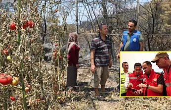 Seydikemer'de yangın sonrası Muğla Büyükşehir ekiplerinden seferberlik