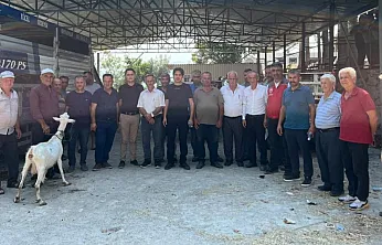 Seydikemer'de yangında hayvanlarını kaybeden çiftçilere küçükbaş hayvan desteği