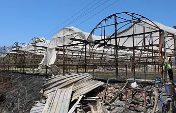 Seydikemer'de Yangının Yaraları Bir Günde Sarılmaya Başlandı