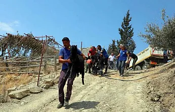Seydikemer'de yaralar hızla sarılıyor