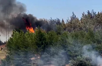 Seydikemer'de zirai alanda başlayan yangın ormana sıçradı, söndürme çalışmaları sürüyor