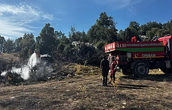 Seydikemer'de zirai alanda çıkan yangın söndürüldü