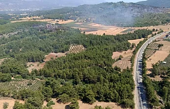 Seydikemer'deki orman yangını kontrol altına alındı