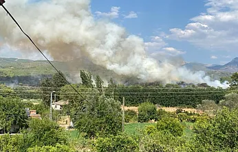 Seydikemer'deki orman yangınına 7 hava aracı ile müdahale ediliyor