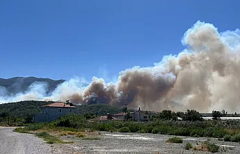 Seydikemer Korubükü Mahallesi'nde Orman Yangını! Havadan ve Karadan Müdahale Başladı