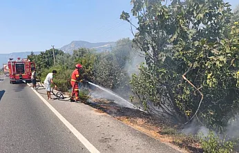 Ula'da yol kenarında başlayan alevler korkuttu