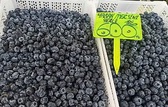 Yaban mersininde sezon sonu etkisi: Fethiye'de kilosu 600 TL