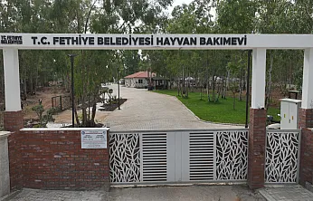 Yenilenen Fethiye Belediyesi Hayvan Bakımevi Açılıyor