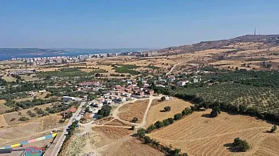 Biyoçeşitliliğe zarar veren orman yangınlarının önlenmesinde kuru ot temizliği önemli