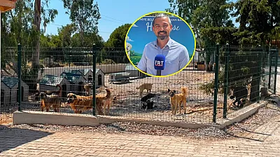 Fethiye Belediyesi'nden sokak hayvanlarına modern yaşam alanı