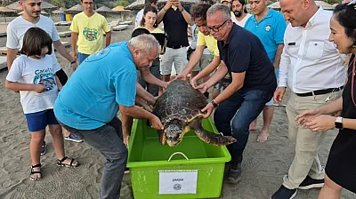 Muğla'da tedavi edilen deniz kaplumbağası 'Şimşek' denize bırakıldı