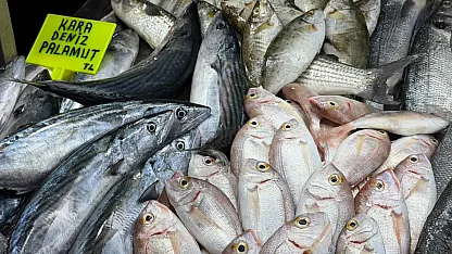 Fethiye Balık Pazarı'nda haftanın indirim şampiyonu palamut