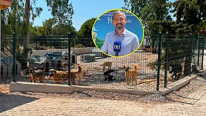 Fethiye Belediyesi'nden sokak hayvanlarına modern yaşam alanı