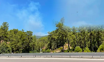 Fethiye Gökçeovacık'ta orman yangınına havadan ve karadan müdahale