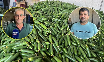 Fethiye Karaçulha Hali'nde salatalık sezonu zor başladı: Üretici de komisyoncu da kazanamıyor