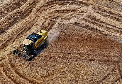 Buğday üretiminin bu yıl kişi başına 288 kilogramla yıllık ihtiyacı aşması bekleniyor