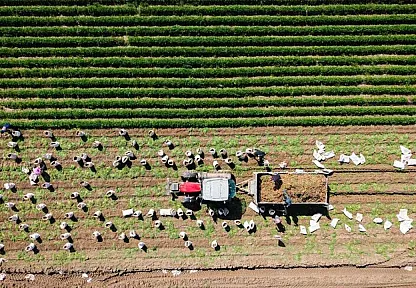 Çiftçilere yılın ilk 6 ayında 106 milyar lira tarımsal destek ödemesi yapıldı