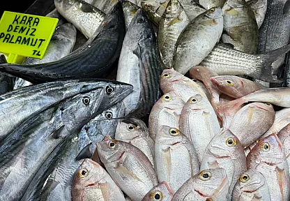 Fethiye Balık Pazarı'nda haftanın indirim şampiyonu palamut
