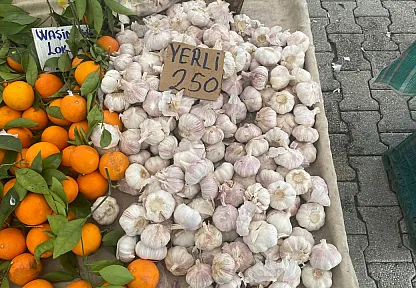 Fethiye Cuma Pazarı'nda 'Sarımsak' altınla yarışıyor: Kilosu 250 Lira
