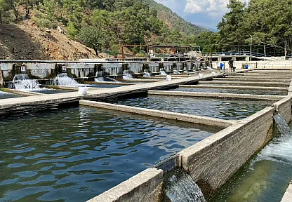 Fethiye'de 11 dönümlük tesis Avrupa'ya balık ihraç ediyor